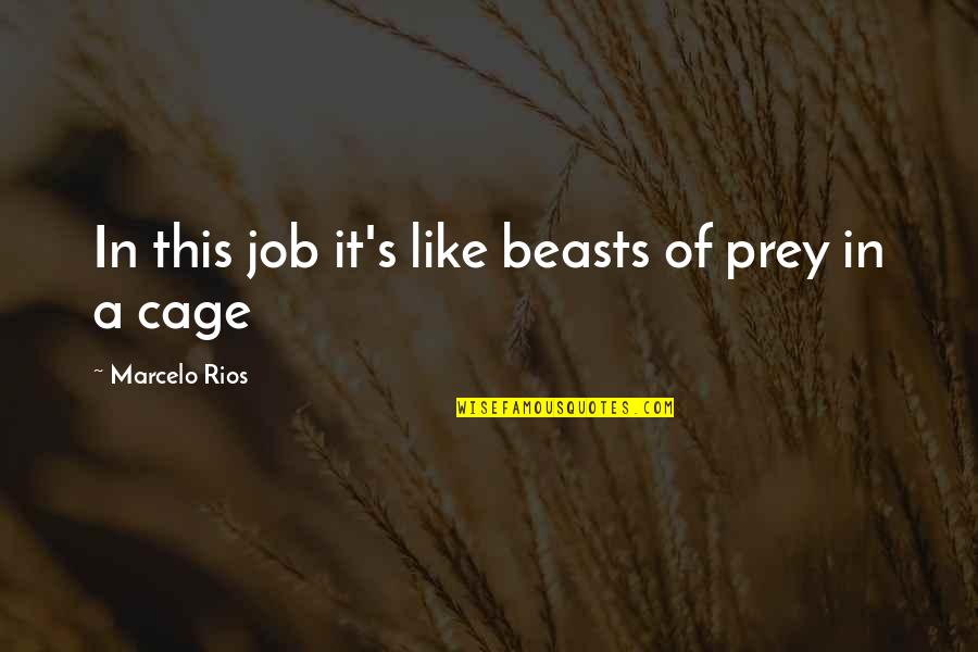 Cage Quotes By Marcelo Rios: In this job it's like beasts of prey