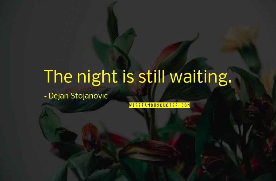 Cage The Elephant Quotes By Dejan Stojanovic: The night is still waiting.