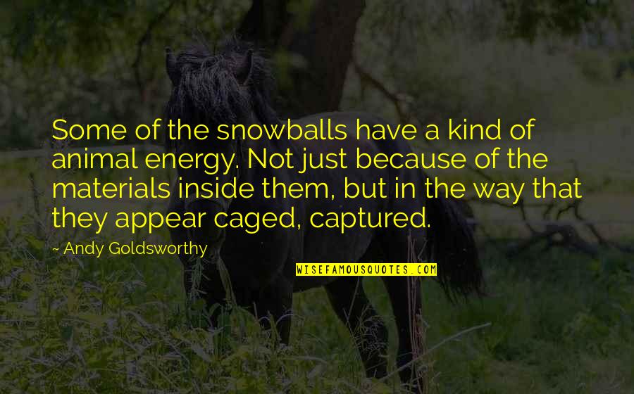 Caged Quotes By Andy Goldsworthy: Some of the snowballs have a kind of