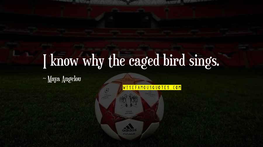 Caged Quotes By Maya Angelou: I know why the caged bird sings.