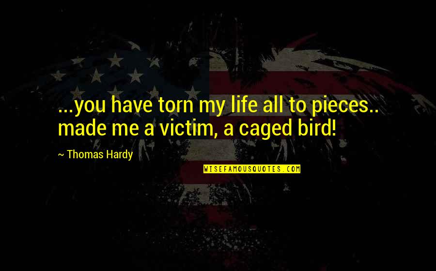Caged Quotes By Thomas Hardy: ...you have torn my life all to pieces..