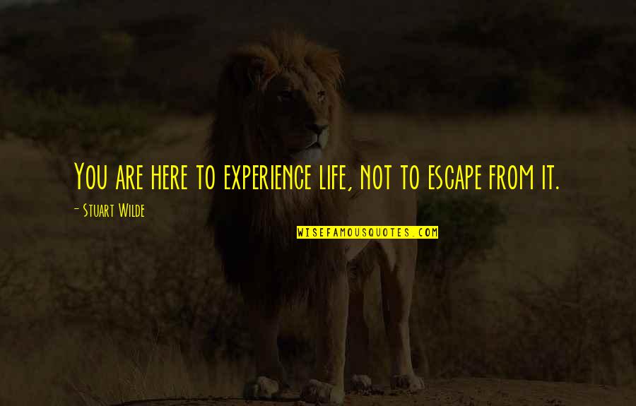 Caging Animals Quotes By Stuart Wilde: You are here to experience life, not to