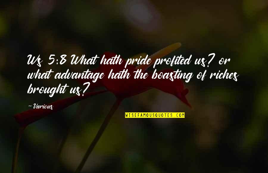 Caiafa Arte Quotes By Various: Ws 5:8 What hath pride profited us? or