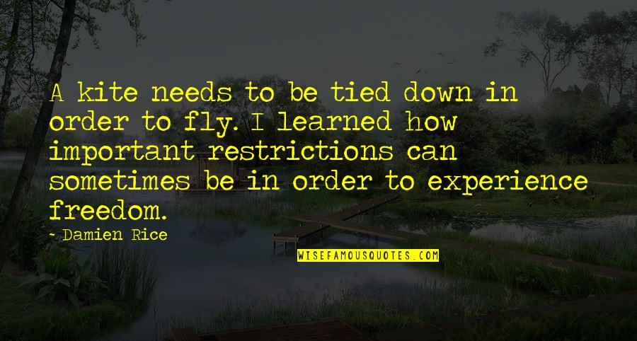 Cailin Unwritten Quotes By Damien Rice: A kite needs to be tied down in