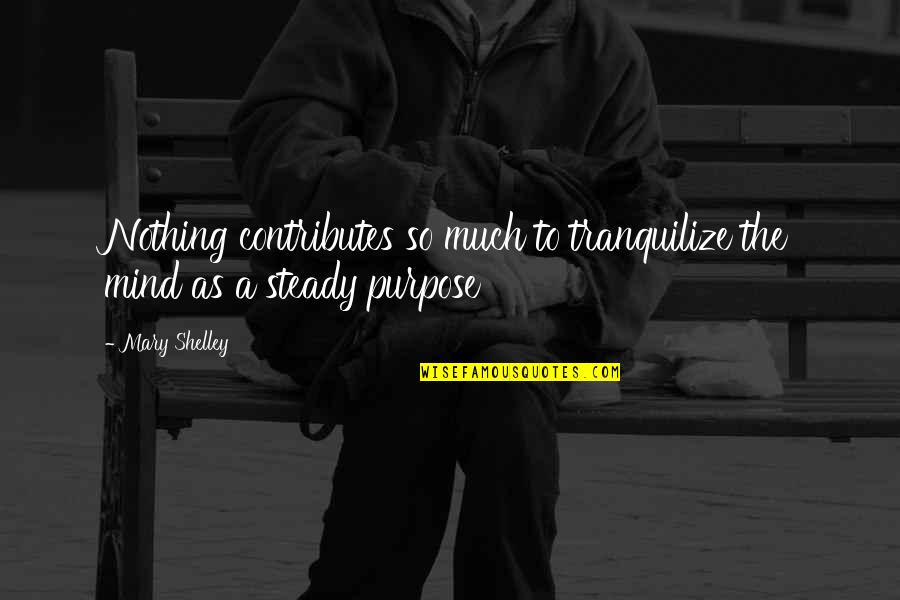 Caiman Boots Quotes By Mary Shelley: Nothing contributes so much to tranquilize the mind