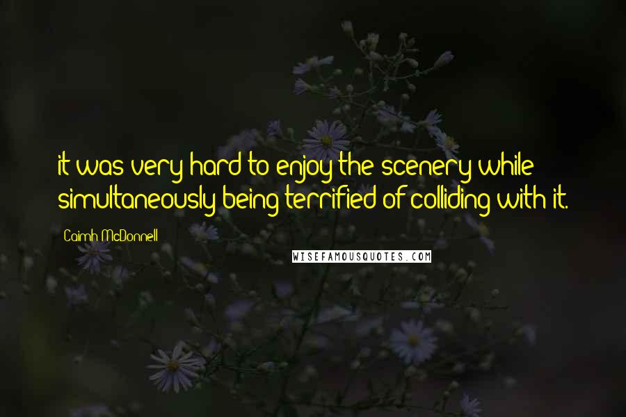 Caimh McDonnell quotes: it was very hard to enjoy the scenery while simultaneously being terrified of colliding with it.