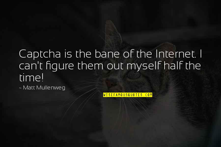 Caio Terra Quotes By Matt Mullenweg: Captcha is the bane of the Internet. I
