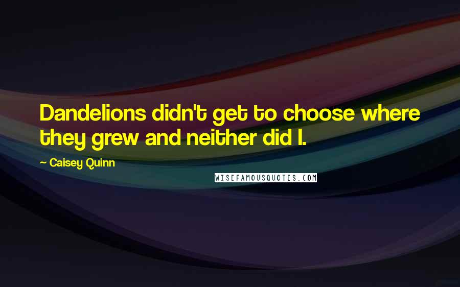 Caisey Quinn quotes: Dandelions didn't get to choose where they grew and neither did I.