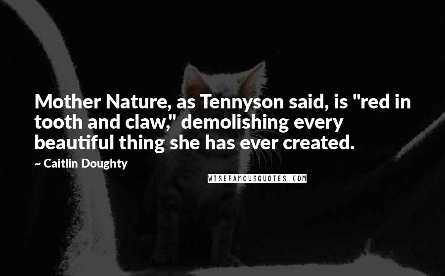 Caitlin Doughty quotes: Mother Nature, as Tennyson said, is "red in tooth and claw," demolishing every beautiful thing she has ever created.