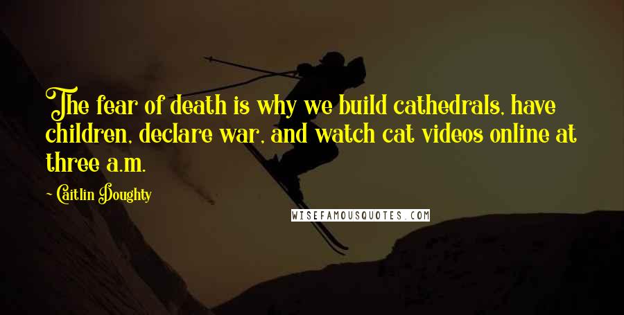 Caitlin Doughty quotes: The fear of death is why we build cathedrals, have children, declare war, and watch cat videos online at three a.m.