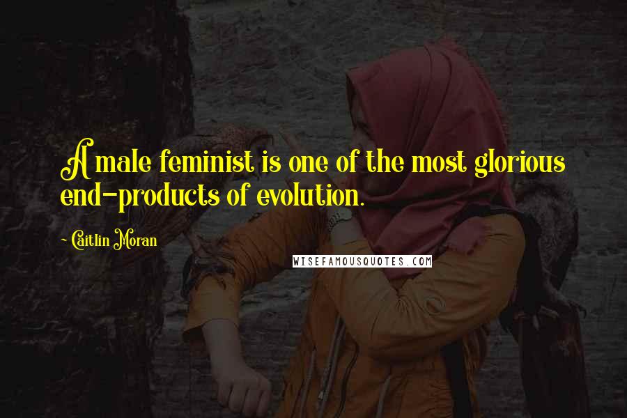 Caitlin Moran quotes: A male feminist is one of the most glorious end-products of evolution.