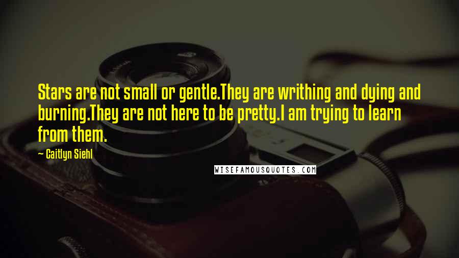 Caitlyn Siehl quotes: Stars are not small or gentle.They are writhing and dying and burning.They are not here to be pretty.I am trying to learn from them.