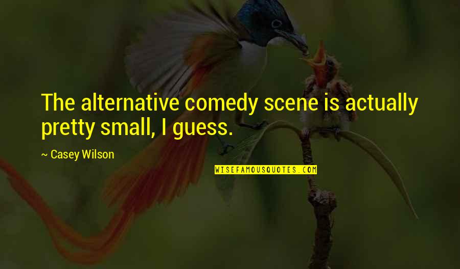 Caius Volturi Quotes By Casey Wilson: The alternative comedy scene is actually pretty small,