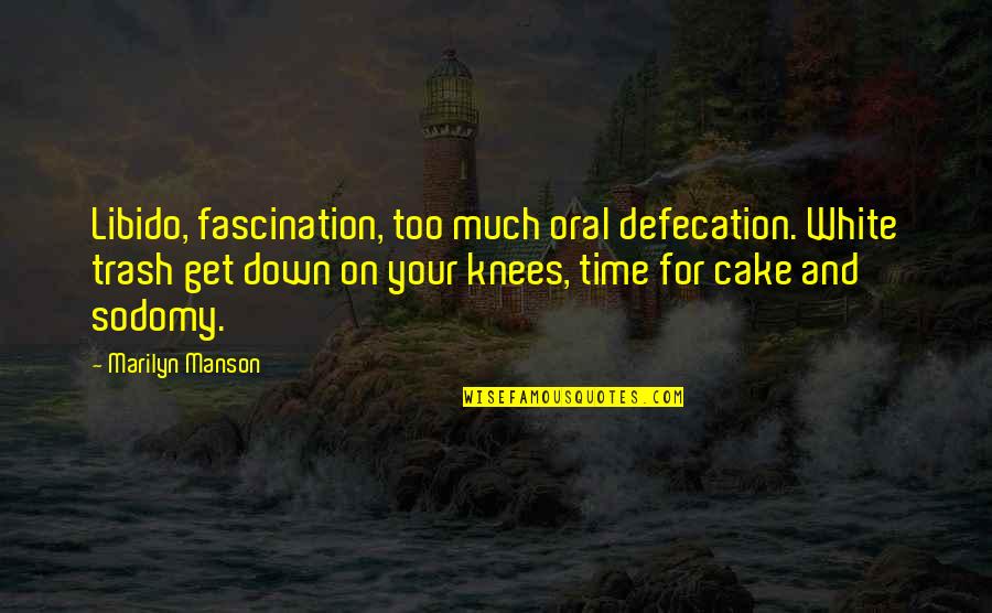 Cake And Quotes By Marilyn Manson: Libido, fascination, too much oral defecation. White trash