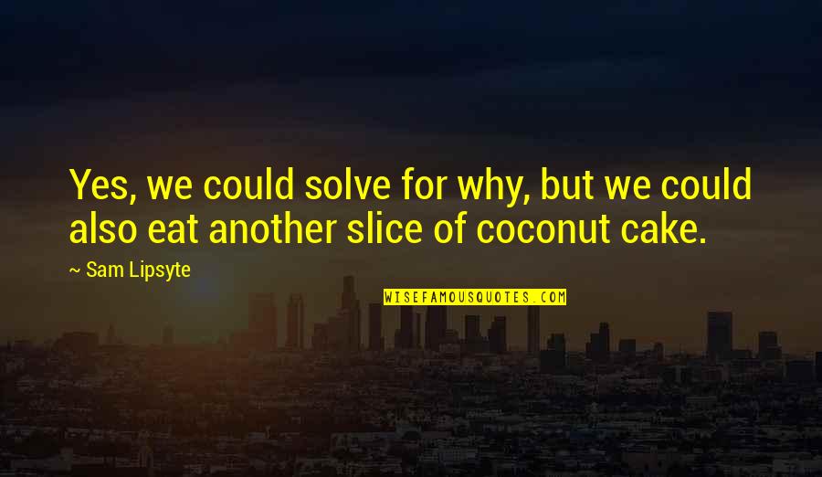 Cake Slice Quotes By Sam Lipsyte: Yes, we could solve for why, but we