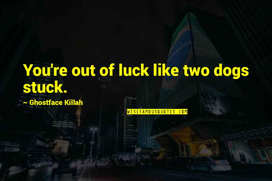 Cake Table Quotes By Ghostface Killah: You're out of luck like two dogs stuck.