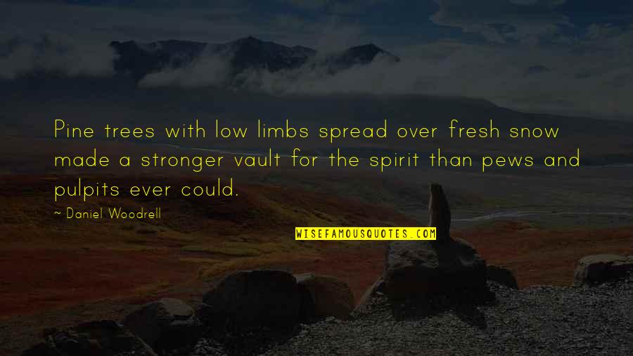Cake Time Quotes By Daniel Woodrell: Pine trees with low limbs spread over fresh
