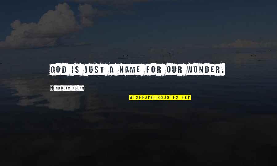 Cakebread Cellars Quotes By Nadeem Aslam: God is just a name for our wonder. Cakebread Cellars Quotes By Nadeem Aslam: God is just a name for our wonder.