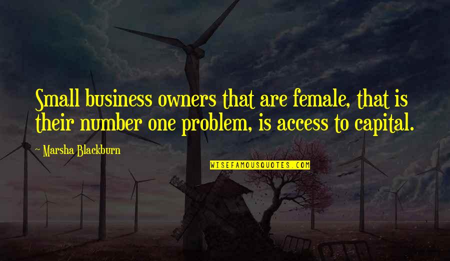 Cal Stoll Quotes By Marsha Blackburn: Small business owners that are female, that is Cal Stoll Quotes By Marsha Blackburn: Small business owners that are female, that is