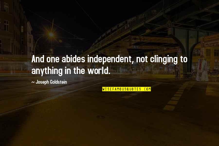 Calafrios Em Quotes By Joseph Goldstein: And one abides independent, not clinging to anything