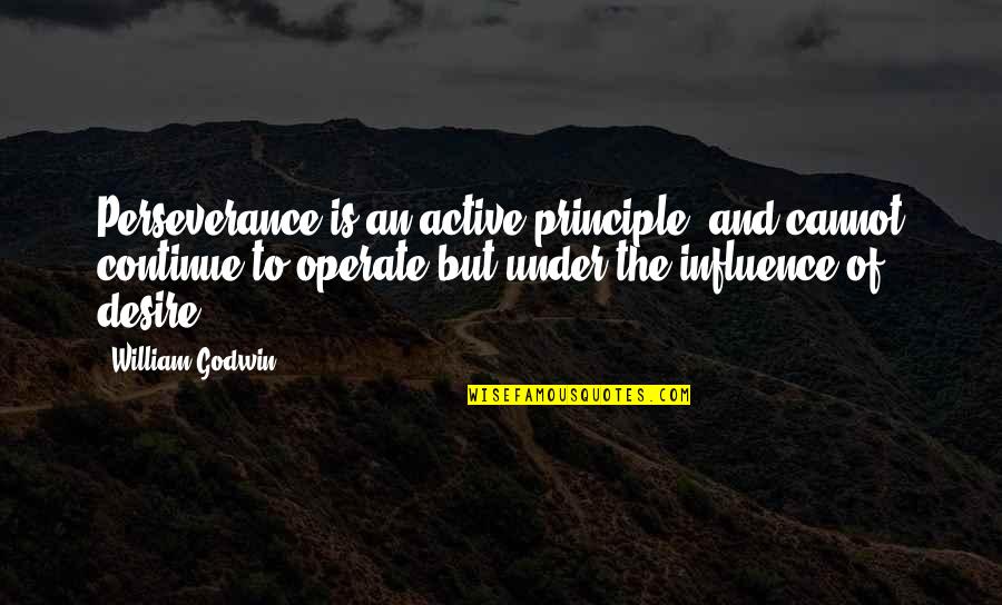 Calamaro Querido Quotes By William Godwin: Perseverance is an active principle, and cannot continue