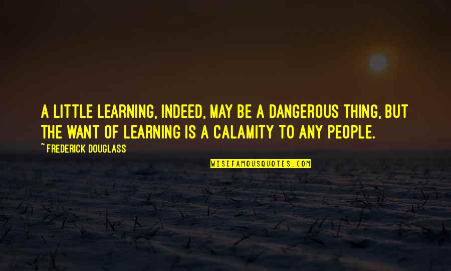 Calamity's Quotes By Frederick Douglass: A little learning, indeed, may be a dangerous