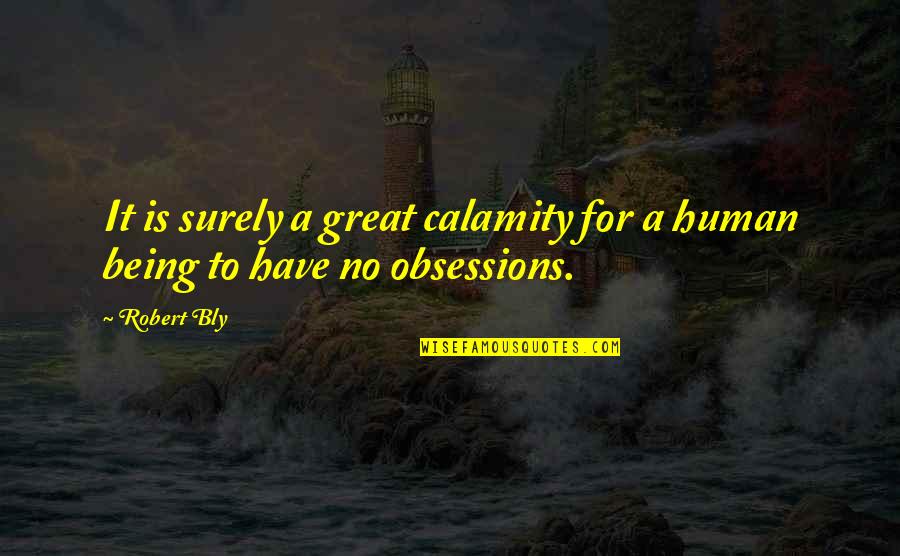 Calamity's Quotes By Robert Bly: It is surely a great calamity for a