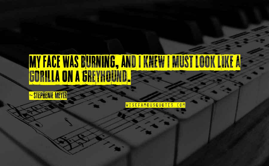 Calandrelle Quotes By Stephenie Meyer: My face was burning, and I knew I