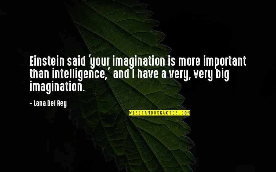 Calantha Blade Quotes By Lana Del Rey: Einstein said 'your imagination is more important than