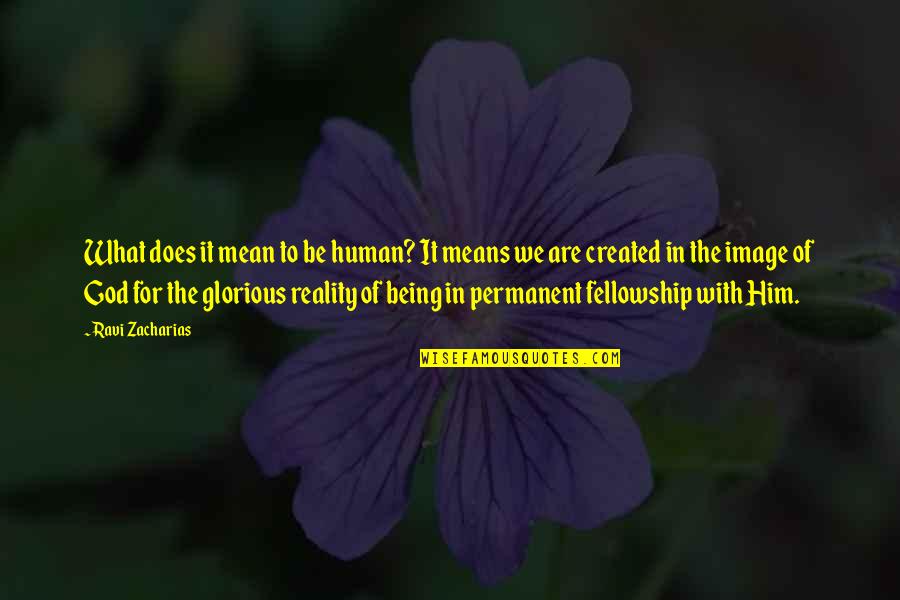 Calazans Em Quotes By Ravi Zacharias: What does it mean to be human? It Calazans Em Quotes By Ravi Zacharias: What does it mean to be human? It