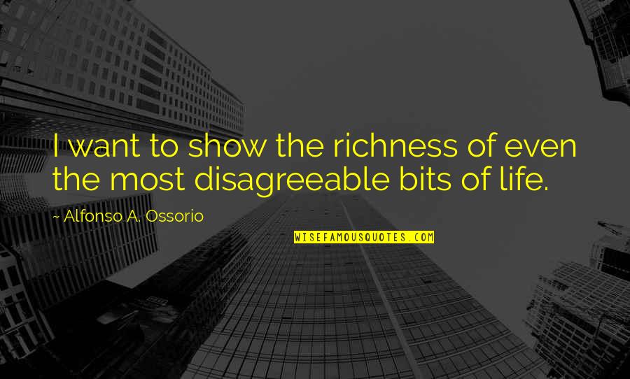 Calcaterra Wujek Quotes By Alfonso A. Ossorio: I want to show the richness of even