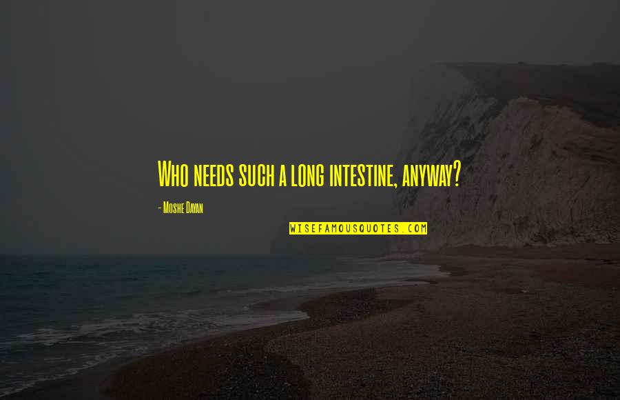 Calcetines De Navidad Quotes By Moshe Dayan: Who needs such a long intestine, anyway? Calcetines De Navidad Quotes By Moshe Dayan: Who needs such a long intestine, anyway?