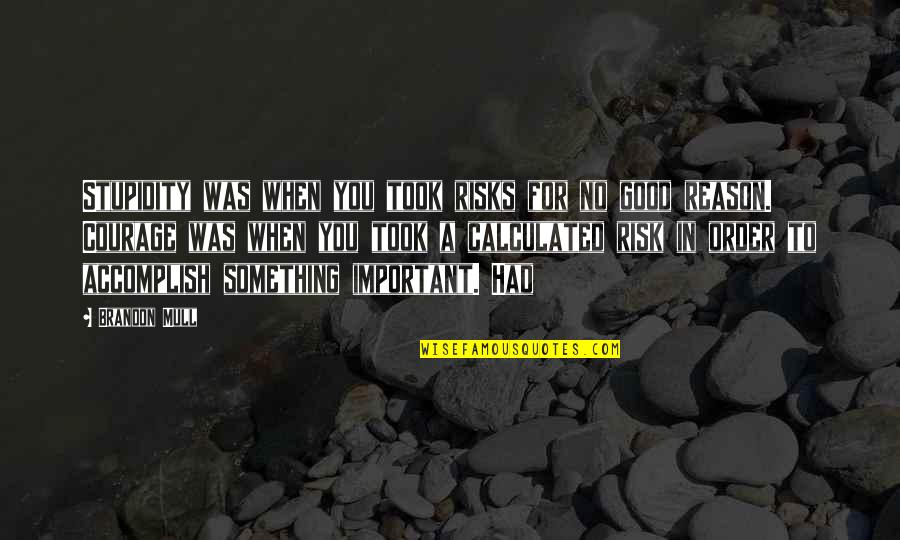 Calculated Risk Quotes By Brandon Mull: Stupidity was when you took risks for no