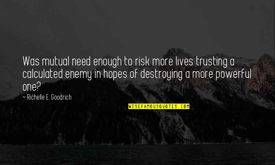 Calculated Risk Quotes By Richelle E. Goodrich: Was mutual need enough to risk more lives