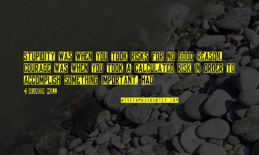 Calculated Risks Quotes By Brandon Mull: Stupidity was when you took risks for no