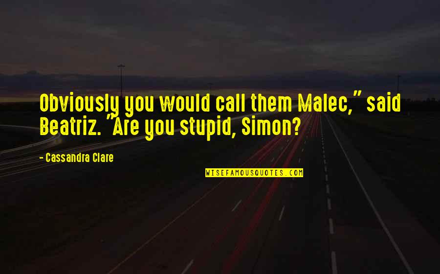 Caldarola Vincent Quotes By Cassandra Clare: Obviously you would call them Malec," said Beatriz.