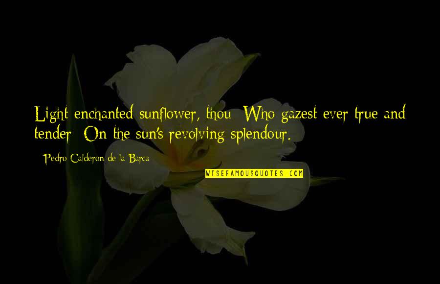 Calderon De La Barca Quotes By Pedro Calderon De La Barca: Light-enchanted sunflower, thou Who gazest ever true and Calderon De La Barca Quotes By Pedro Calderon De La Barca: Light-enchanted sunflower, thou Who gazest ever true and
