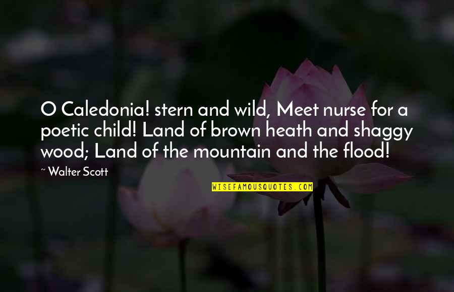Caledonia's Quotes By Walter Scott: O Caledonia! stern and wild, Meet nurse for