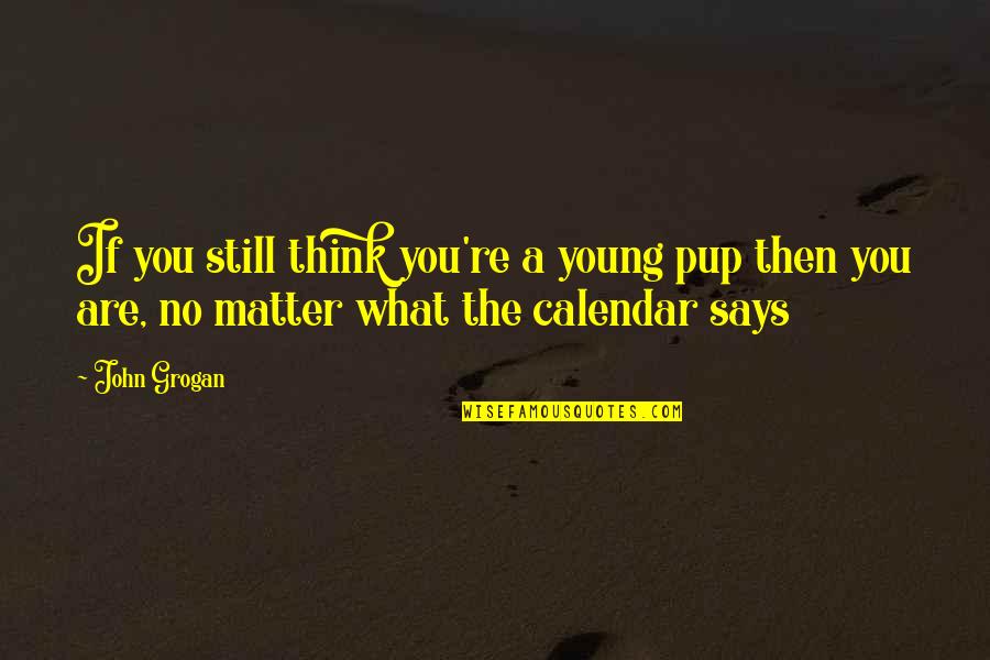 Calendar Quotes By John Grogan: If you still think you're a young pup