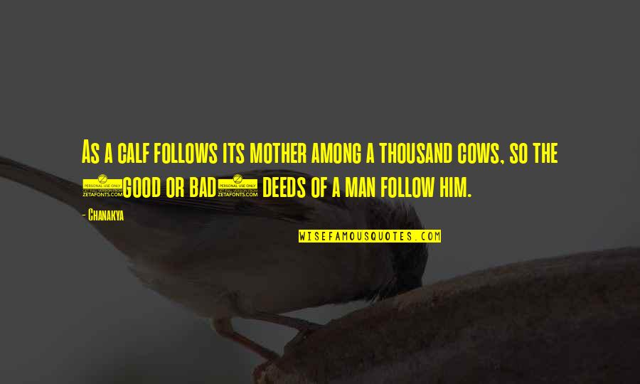 Calf Quotes By Chanakya: As a calf follows its mother among a