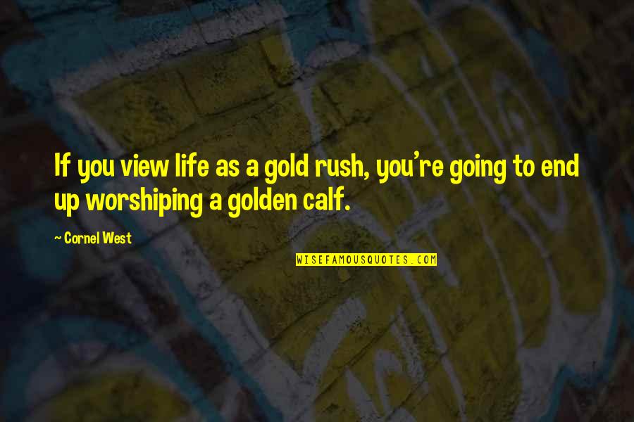Calf Quotes By Cornel West: If you view life as a gold rush,