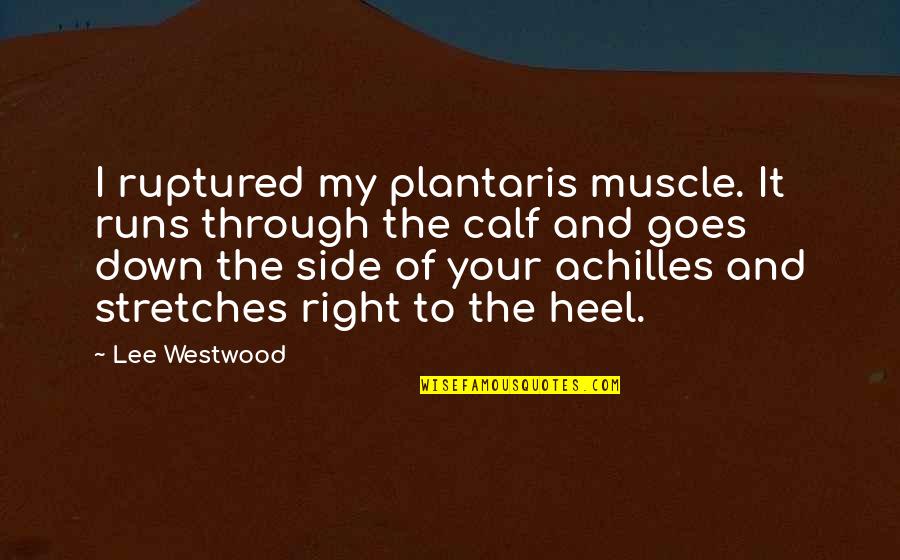 Calf Quotes By Lee Westwood: I ruptured my plantaris muscle. It runs through