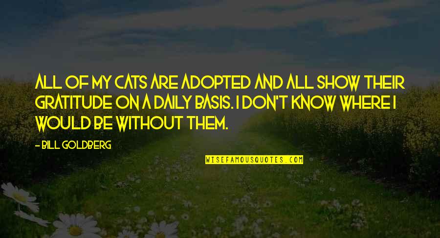 Cali Girl Quotes By Bill Goldberg: All of my cats are adopted and all