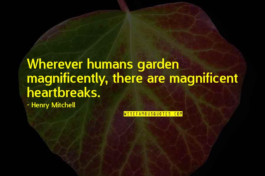 Caliane Quotes By Henry Mitchell: Wherever humans garden magnificently, there are magnificent heartbreaks.