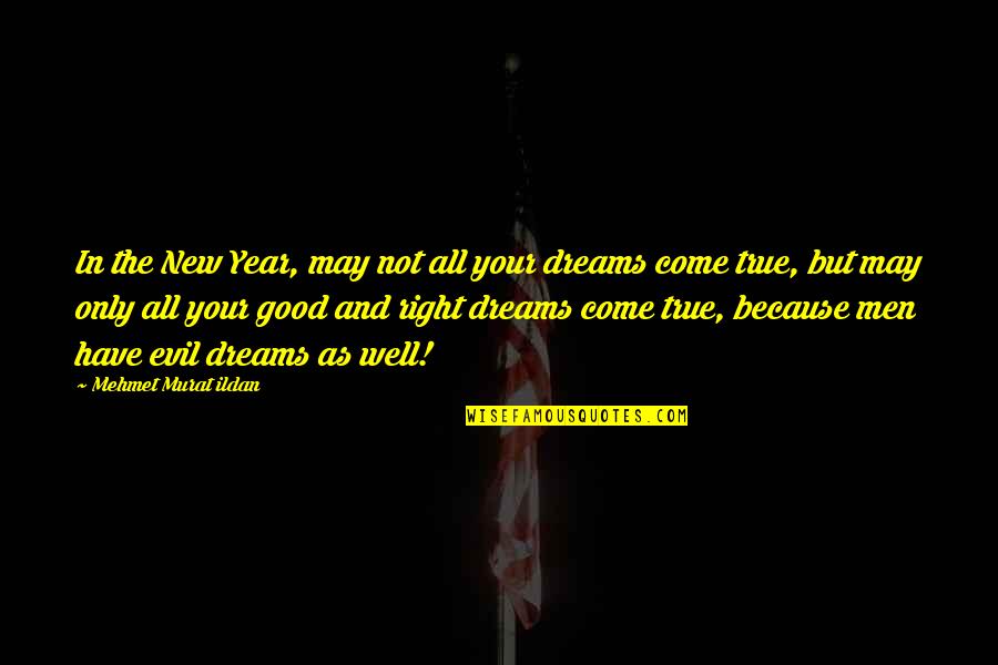 Calificante Quotes By Mehmet Murat Ildan: In the New Year, may not all your
