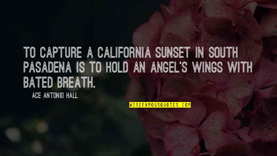 California Quotes By Ace Antonio Hall: To capture a California sunset in South Pasadena