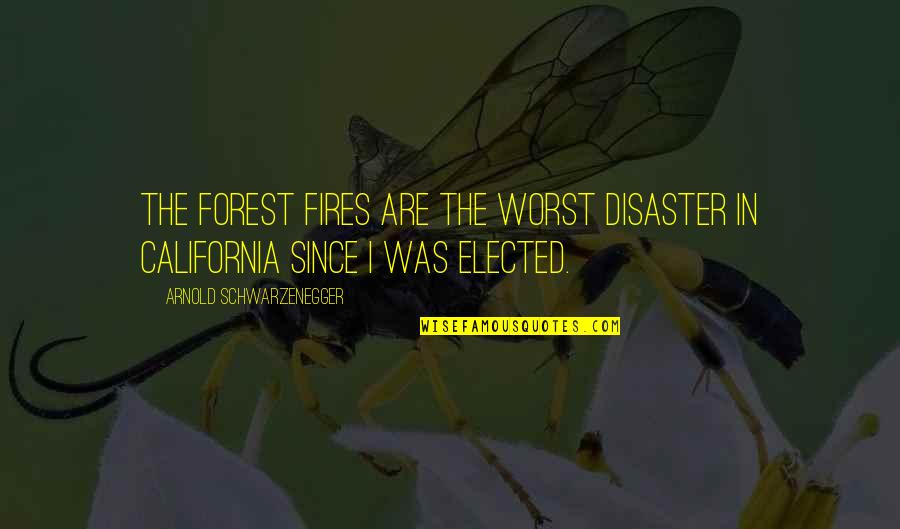 California Quotes By Arnold Schwarzenegger: The forest fires are the worst disaster in