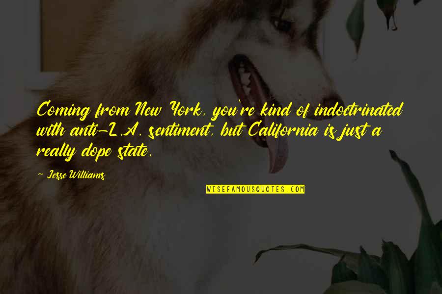 California State Quotes By Jesse Williams: Coming from New York, you're kind of indoctrinated California State Quotes By Jesse Williams: Coming from New York, you're kind of indoctrinated