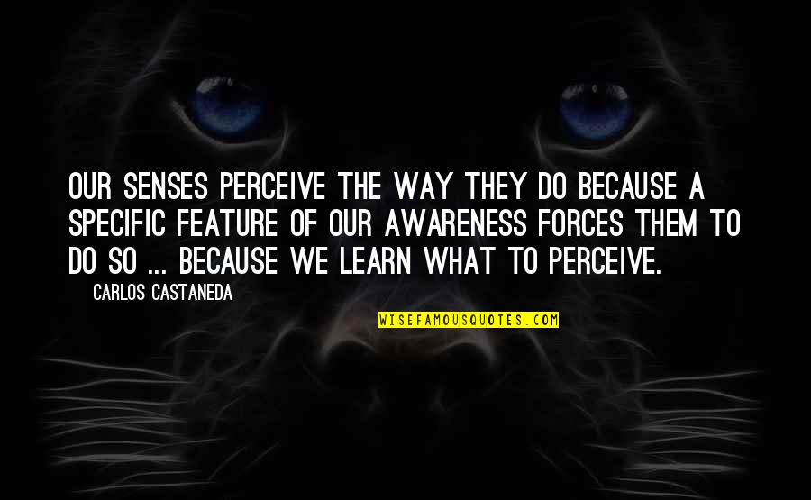 Caligine Quotes By Carlos Castaneda: Our senses perceive the way they do because