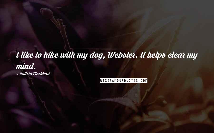 Calista Flockhart quotes: I like to hike with my dog, Webster. It helps clear my mind.